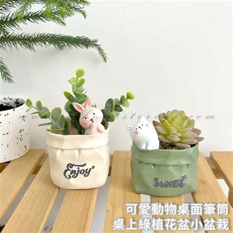 烏龜飾品|PJ小舖｜烏龜造型飾品 陸龜 澤龜 水龜 水晶龜 擺飾 桌 